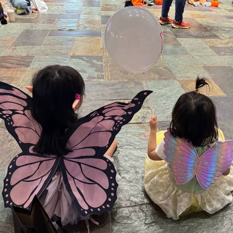 Cosplay Pink Butterfly Wings B - Baby Clothing Model recensione e prezzo