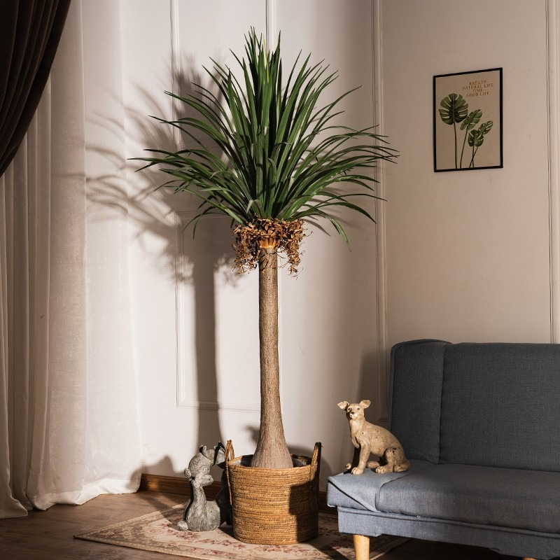 Dracena Artificiale Real-Touch - Baby Clothing Stores recensione e prezzo